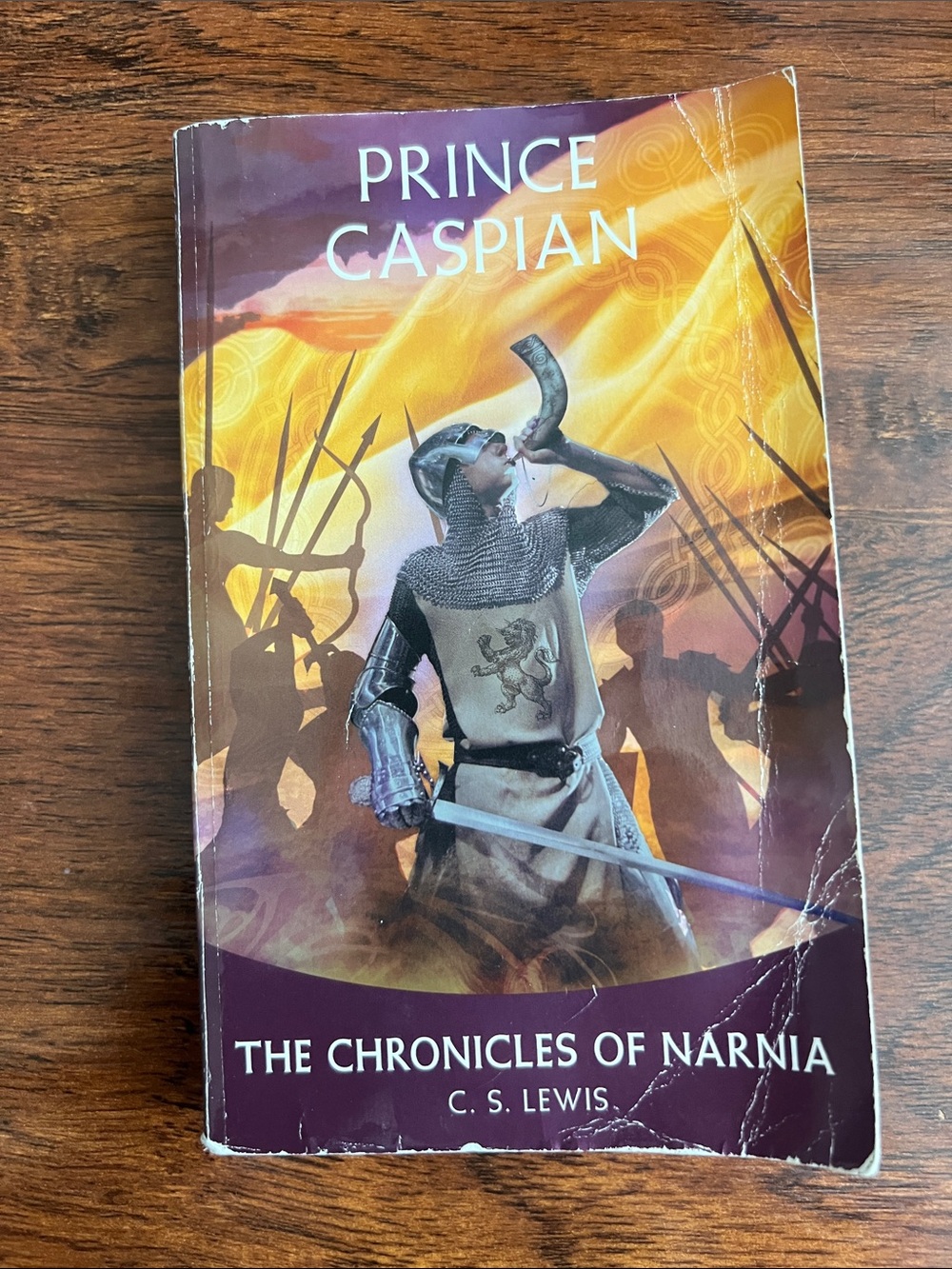 Prince Caspian book